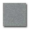 Santa Regina Architectural 16 X 16 (polished) Steel Gray Terrazzo Tile