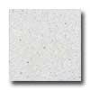 Santa Regina Architectural 16 X 16 (natural) Bone White Terrazzo Tile