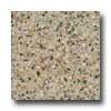 Santa Regina Architectural 24 X 24 (polished) Almond Terrazzo Tile