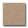 Santa Regina Architectural 16 X 16 (polished) Desert Tan Terrazzo Tile