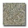 Santa Regina Architectural 24 X 24 (antique) Evergreen Terrazzo Tile