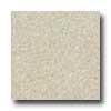 Santa Regina Architectural 24 X 24 (polished) Buttercream Terrazzo Tile