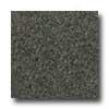 Santa Regina Architectural 16 X 16 (natural) Chocolate Brown Terrazzo Tile