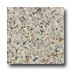 Santa Regina Architectural 16 X 16 (natural) Arctic Terrazzo Tile