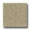 Santa Regina Architectural 16 X 16 (polisyed) Harvest Gold Terrazzo Tile