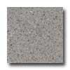 Santa Regina Architectural 16 X 16 (polished) Buff Terrazzo Tile