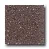 Santa Regina Architectural 16 X 16 (antique) Plum Terrazzo Tile