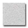 Santa Regina Architectural 24 X 24 (natural) Salt & Pepper Terrazzo Tile