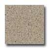 Santa Regina Architectural 16 X 16 (natural) Sand Dollar Terrazzo Tile