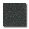 Sajta Regina Architectural 16 X 16 (polished) Midnight Terrazzo Tile