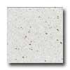 Santa Regina Designer 16 X 16 (polished) Salmon Fleck Terrazzo Tile