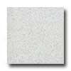 Santa Regina Designer 16 X 16 (antique) Blanco Terrazzo Tile