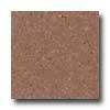 Santa Regina Designer 24 X 24 (natural) Salmpn Terrazzo Tile