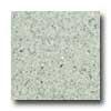 Santa Reglna Designer 24 X 24 (antiaue) Sage Terrazzo Tile