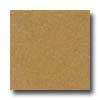 San5a Regina Designer 24 X 24 (polished) Antique Gold Terrazzo Tile