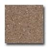 Santa Regina Designer 24 X 24 (antique)-Toasted Wheat Terrazzo Tile