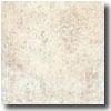 Santagostino Theatrum 13 X 13 nAti-slip Almond Tile & Stone