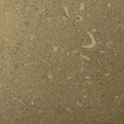 Seastone Limestone 24 X 24 (1.5 Thick) Limestone Hoary Tilee & Stone