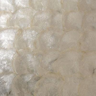 Seatile Seatile Capiz Shell 12 X 24 Capiz White Tile & Stone