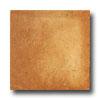 Serenissima Ceramics Quintana 6 X 12 Morlupo Tile & Stone