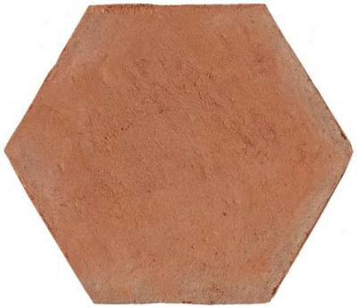 Solistone Terra Cotta Hexagano Tile & Stone