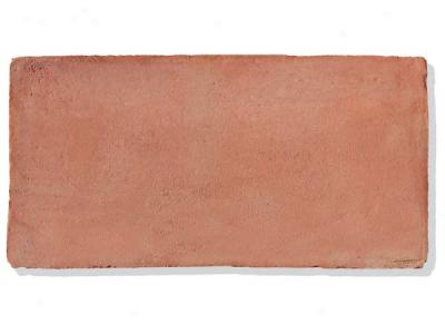 Solistone Terra Cotta Rectangulo Tile & Stone