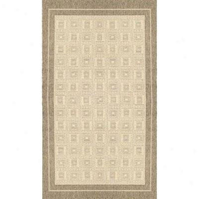 Stepco Patio Rugs 4.8 X 6.8 1309 Cream Brown Area Rugs