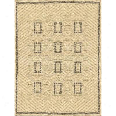 Stepco Patio Rugs 4.8 X 6.8 027 Cream Brown Area Rugs