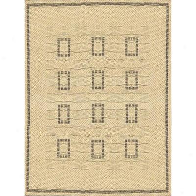 Stepco Patio Rugs 5 X 8 027 Cream Brown Area Rugs