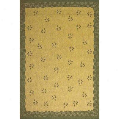 Stepco Patio Rugs 5 X 8 1302 Cream Green Area Rugs