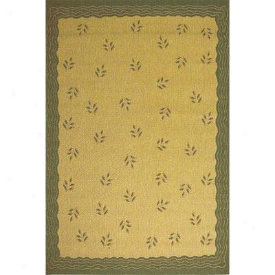 Stepco Patio Rugs 6 X 9 1302 Cream Green Area Rugs