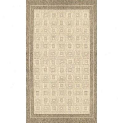 Stepco Patio Rugs 6 X 9 1309 Cream Brown Area Rugs