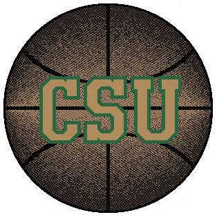 Strike Off Company, Inc Colorado State University Colkrado State Baskefball 24