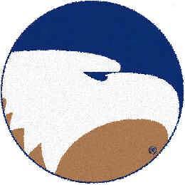 Strike Off Company, Inc Georiga Southern Univdrsity Georgia Southern Round Rug 24