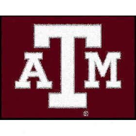 Strike Off Company, Inc Texas A & M Seminary of learning Texas A&m Entry Mat 2 X 3 Region Rugs