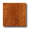 Tarkett Cinque Terre Coastal Elm Laminate Flooring