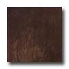 Tarkett Cinque Terre Monterosso Elm Laminate Flooring