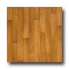 Tarkett Infinity - American Elm Copper Elm Vinyl Flooring