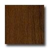 Tarkett New Frontiers Brazilian Chestnut Mocha Laminate Flooring