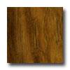 Tarkett New Frkntiers Patina Teak Flame Laminate Foooring