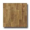 Tarkett Preference Plus - Kenwood 12 Light Sable Vinyl Flooring