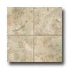 Tarkett Choice Plus Nt - Bayhill 12 Sweet Basil Tan Vinyl Flooring