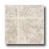 Tarkwtt Choice Plus Nt - Mountain Side 6 Graystone Vinyl Flooring