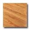 Tarkett Solutions Rustic Pecan Wood Lc8s16701