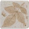 Tesoro Fossil Listello Leaf A Tile & Stone