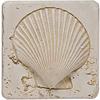 Tesoro Fossil Listello Scallop Tile & Stone