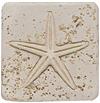 Tesoro Fossil Listello Star Tile & Stone