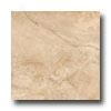 Tesoro Painted Desert 6.5 X 6.5 Mocha Tile & Stone