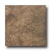 Tesoroo Salus 13 X 13 Rieti Noce Tile & Stone