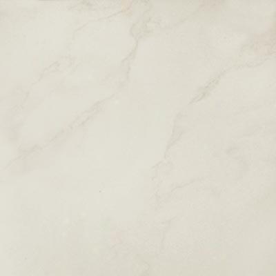 Tesoro Statuario 24 X 24 Bianco Tile & Stone